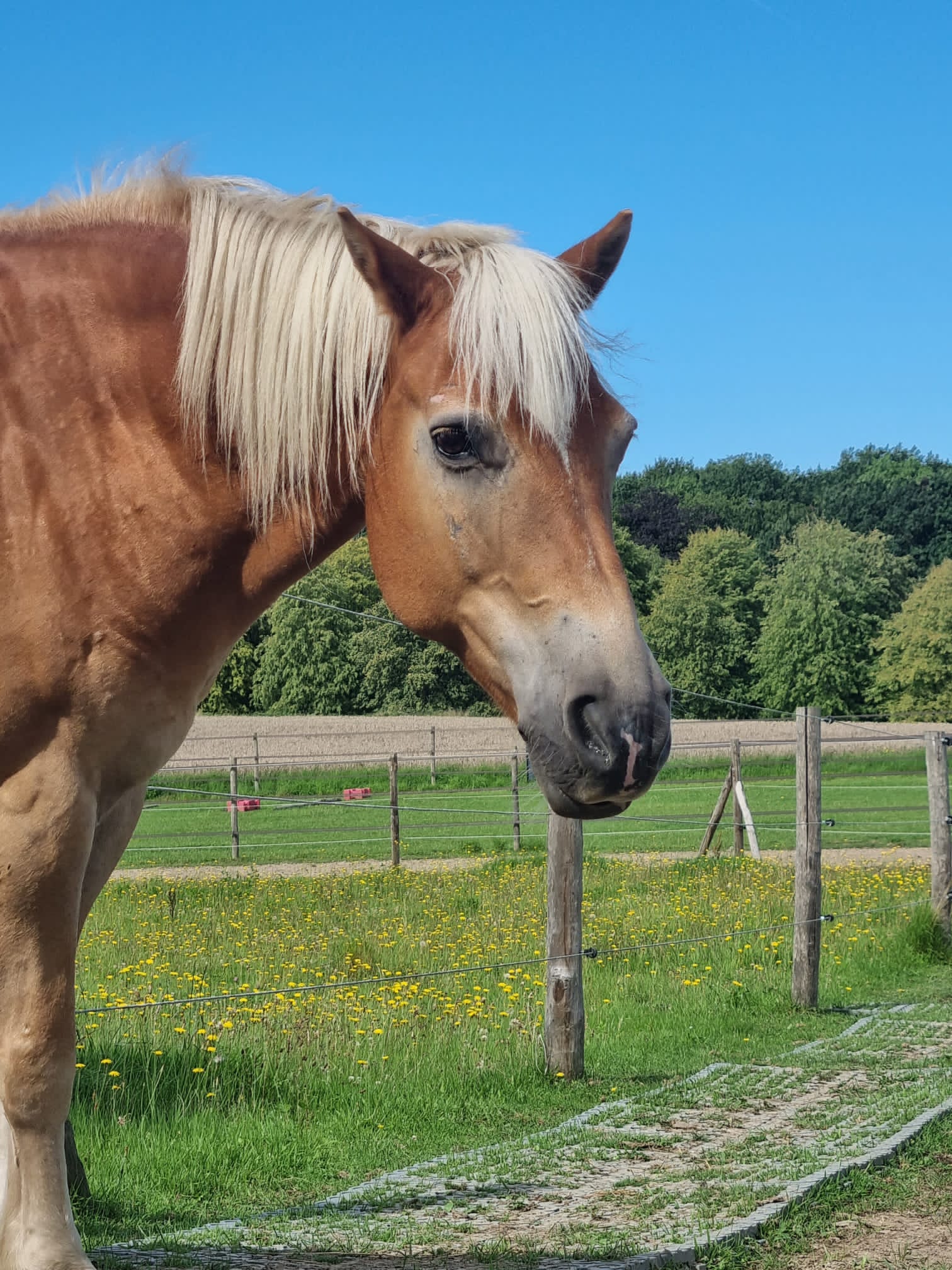 Caramel-close-up Caramel